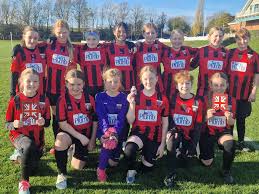 Image result for Louth United Football Club