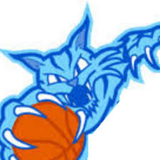 Image result for Kingston Wildcats Basketball Club