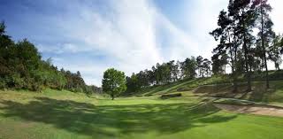Image result for Hindhead Golf Club