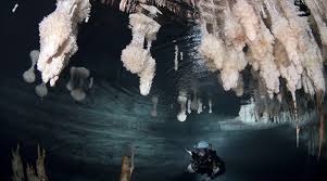 Image result for Venutios Caving Group