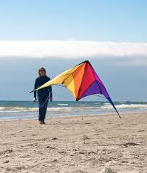 Image result for Mobius Flix Trick & Freestyle Kite Club