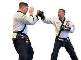 Image result for Championship Martial Arts Frisco