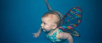 Image result for Cornish Swim Academy