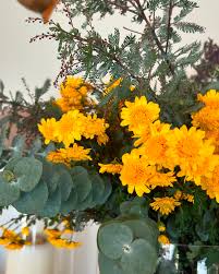 Image result for Chrysanthemum spectabile