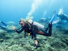 Image result for Seabug Divers