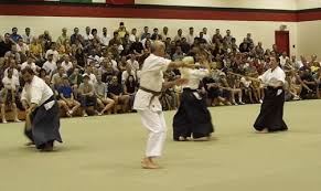 Image result for Moslin & Dewandre Aiki Dojo