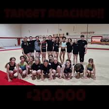 Image result for Tamworth Olympic Gymnastics Club