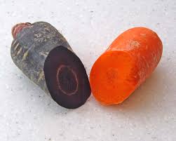 Attēlu rezultāti vaicājumam “Daucus carota subsp. carota fruit”