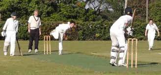 Image result for Worcester Nomads Cricket Club
