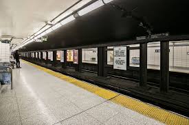 Image result for Speedwell Ttc