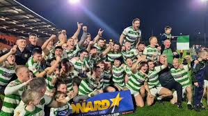 Image result for Sarsfield Gfc