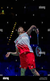 Image result for Birmingham Badminton Bears