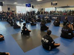 Image result for Elite Martial Arts Academy