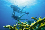 Watersports at Breezes Runaway Bay, Jamaica - Scuba Diving ...