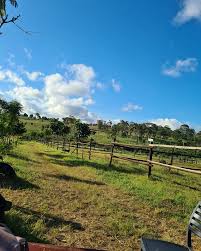 Image result for Trigger Happy Paintball, Kidderminster, West Midlands