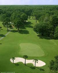 Image result for Dolphina Gc