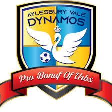 Image result for Vale Of Aylesbury Athletics Club