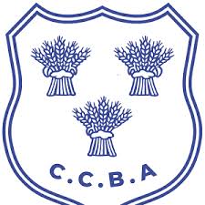 Image result for North Cheshire Badminton Club