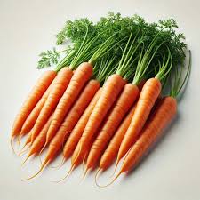 Image result for Möhren