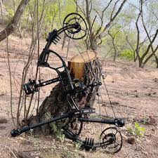 Image result for Burntwood Archers