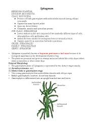 Attēlu rezultāti vaicājumam “Sphagnum sporophyte”