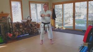 Image result for HEIWA SHOTOKAN KARATE CLUB