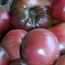 Afbeeldingsresultaat voor black sea man tomato