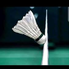 Image result for Shuttles Badminton Club (Frome)