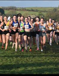 Image result for Louth Athletic Club