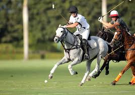 Attēlu rezultāti vaicājumam “Jalla dumosa imago”