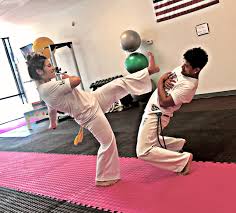 Image result for Capoeira Classes