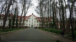 Image result for cesarskie