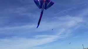 Image result for Kent Kite Flyers Club