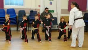 Image result for Colchester Wado Ryu Karate