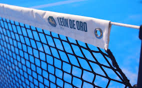 Image result for 1st New Forest Pickleball Club