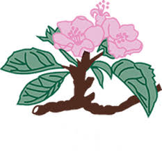 Image result for Rutland Scrabble Club