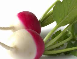 Attēlu rezultāti vaicājumam “Raphanus sativus”