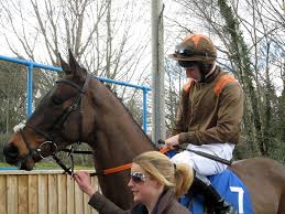 Image result for Newton Abbott Knights