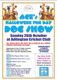 Image result for Adlington Cricket Club