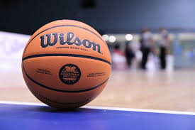 Image result for Worcester Wolves Basketball Club