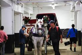 Image result for Cliff Hatch Stables