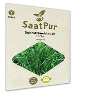 Image result for Schnittknoblauch