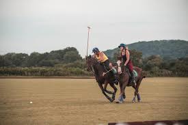 Image result for Taunton Vale Polo Club
