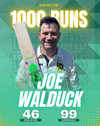 Image result for Gilberdyke Cricket Club