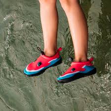 Image result for Dolphin Sub Aqua