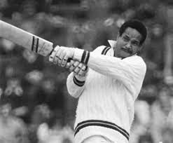 Image result for The Paddock Cricket Club