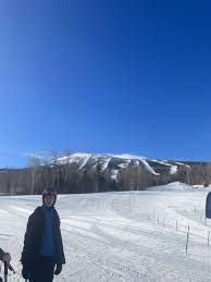 Image result for skiptondivers