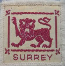 Image result for Itchen South District Scout Canoe Centre