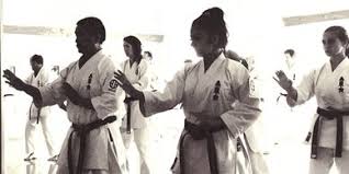 Image result for Shitokai Karate Club