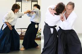 Image result for Moslin & Dewandre Aiki Dojo